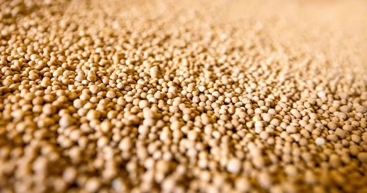 মধ্যপ্রাচ্যে যুদ্ধ: বাংলাদেশের কৃষি কি সংকটের মুখে?