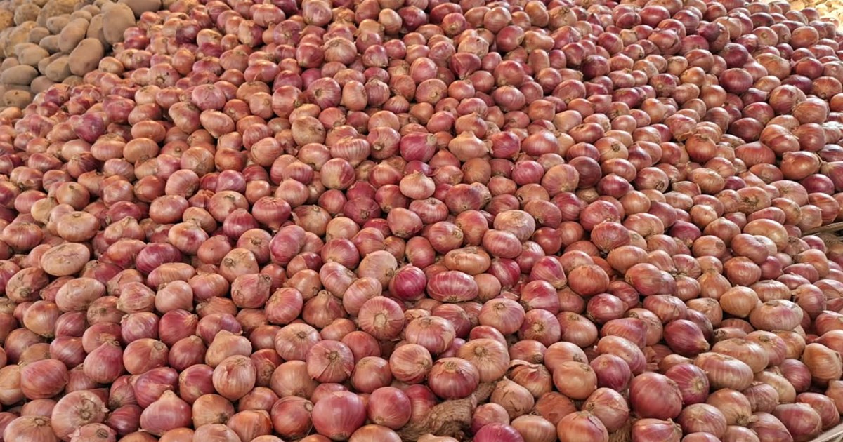 প্রথম রোজাতেই পেঁয়াজের ঝাঁজ: কেজিতে বাড়ল ১৫ টাকা