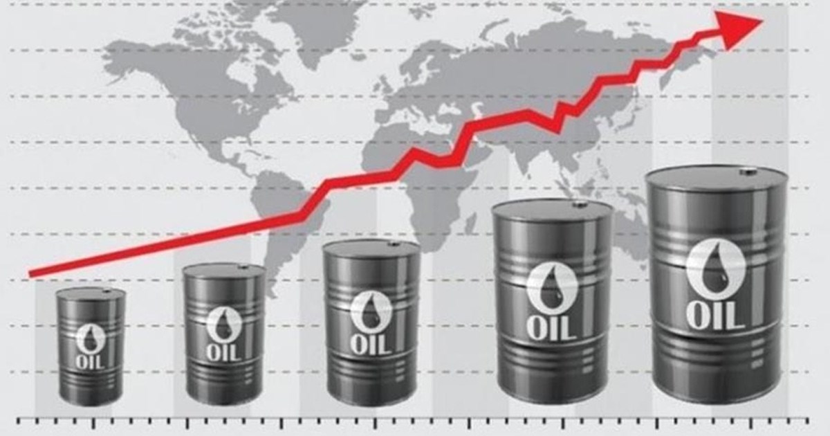 বিশ্ববাজারে তেলের দামে আগুন: জরুরি মজুত ছাড়ছে কানাডা