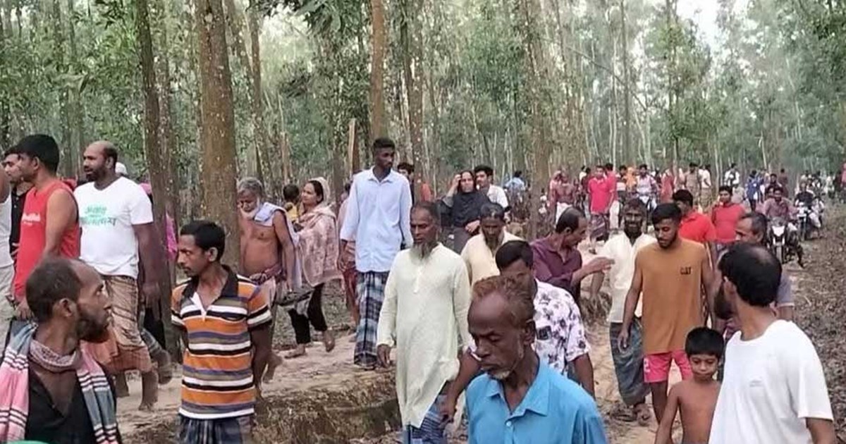 গাজীপুরে গরু চুরির অভিযোগে ৩ জনকে পিটিয়ে হত্যা, পিকআপে আগুন