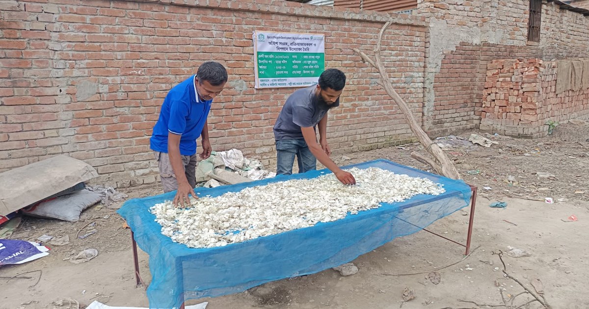 যে আঁইশ একসময় ছিল বর্জ্য, এখন সেটাই বৈদেশিক মুদ্রার উৎস