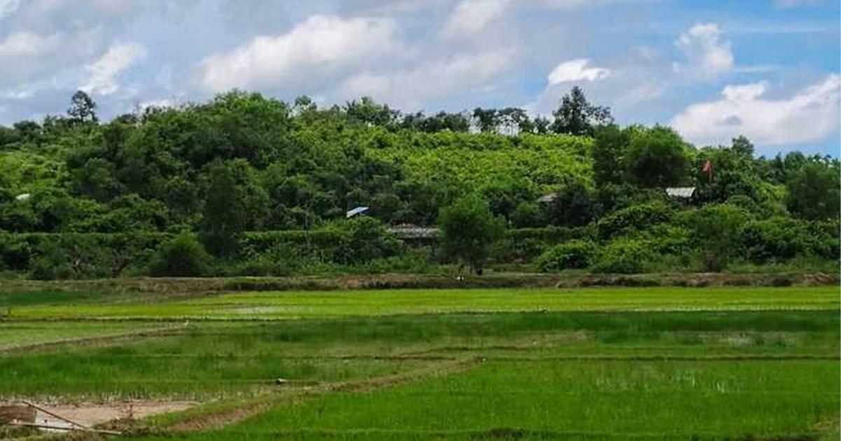 সীমান্তে স্থলমাইন বিস্ফোরণ: তিন বাংলাদেশি নিহত