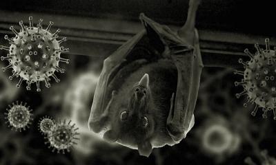 খেজুরের রস খেয়ে নিপাহ ভাইরাসে নারীর মৃত্যু