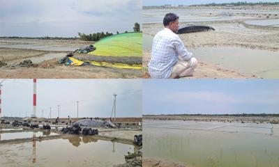 কালবৈশাখীর আঘাতে লবণচাষে বিপর্যয়: স্বপ্ন ভেঙে উপকূলজুড়ে লোকসানের কান্না