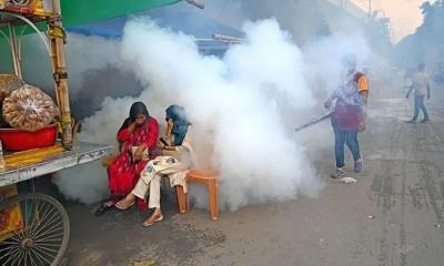 ডেঙ্গু নিয়ে ঢাকার বাইরে যে পাঁচ জেলা সবচেয়ে বেশি ঝুঁকিতে