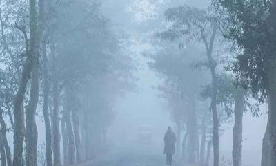 ৪ জেলায় শৈত্যপ্রবাহ, আর কতদিন শীত থাকবে?