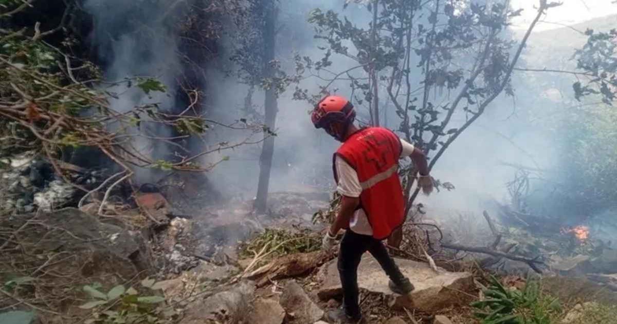 কেনিয়ায় হেলিকপ্টার বিধ্বস্ত, ইকুয়েডরের গোয়েন্দাপ্রধানসহ নিহত ৭
