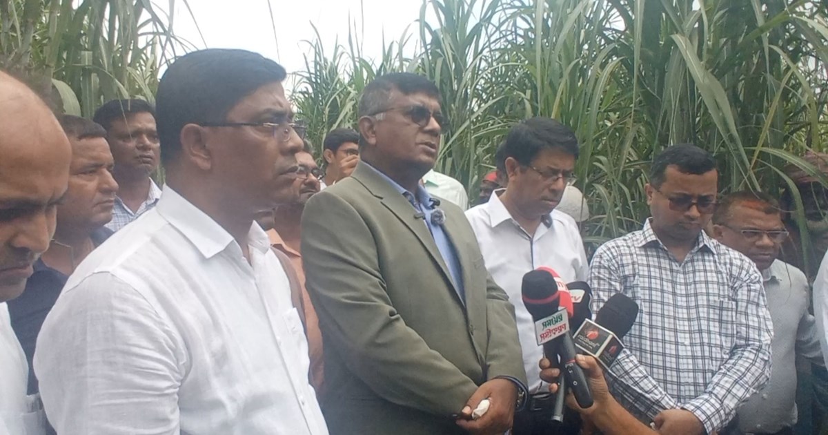 আখের ছোবড়া থেকে বিদ্যুৎ উৎপাদনের পরিকল্পনা রয়েছে: বিএসএফআইসি চেয়ারম্যান