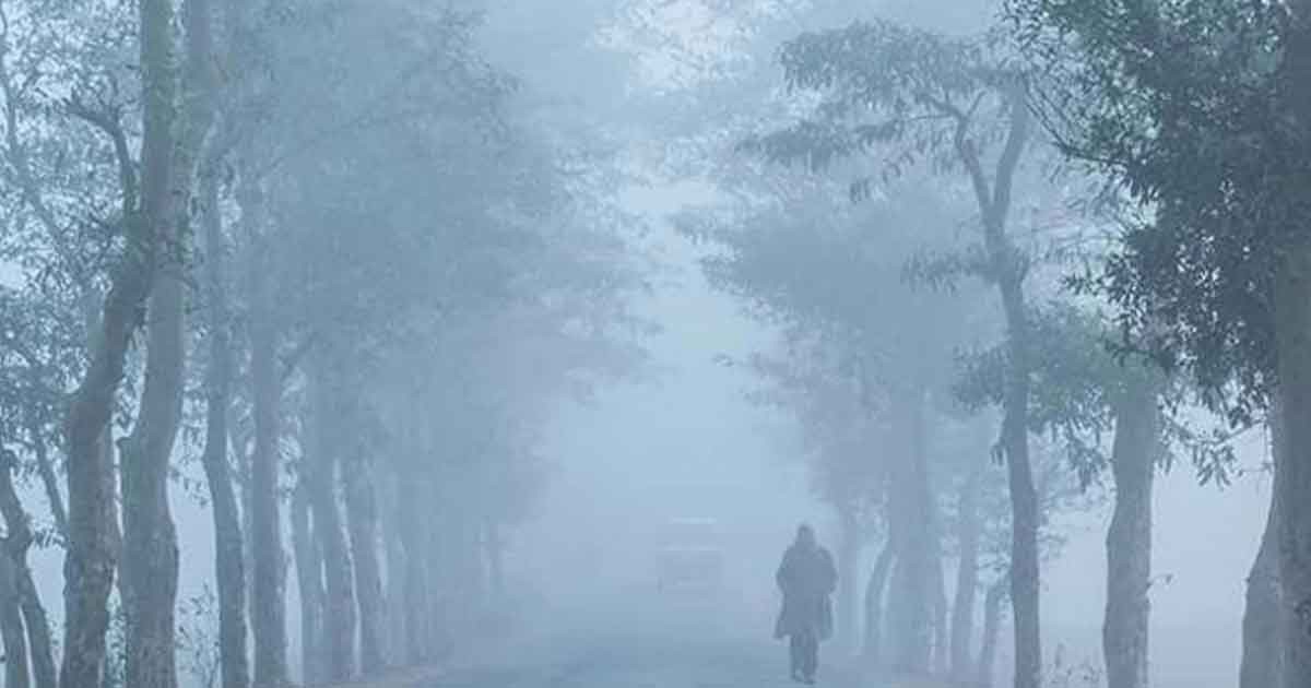 ৪ জেলায় শৈত্যপ্রবাহ, আর কতদিন শীত থাকবে?